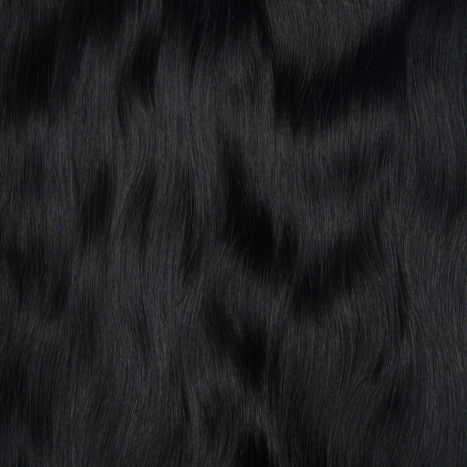 20" Absolute Volume