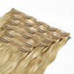 Sublime Clip-In Extensions Sunkissed Balayage